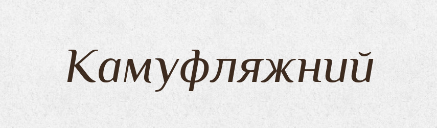 Камуфляжний — Великий тлумачний словник сучасної української мови