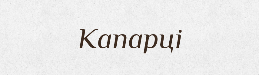 Капарці — Великий тлумачний словник сучасної української мови