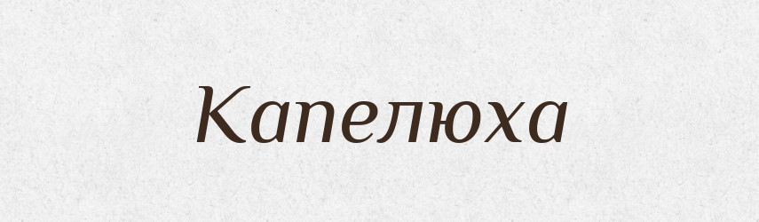 Капелюха — Великий тлумачний словник сучасної української мови
