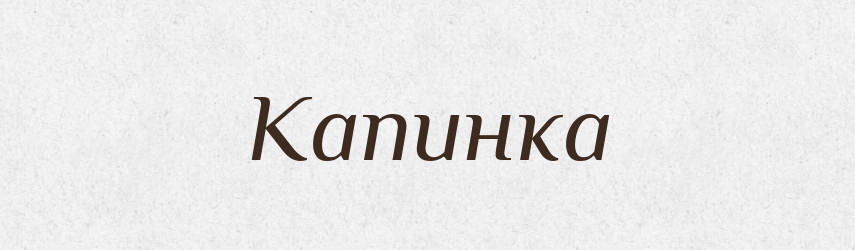 Капинка — Великий тлумачний словник сучасної української мови