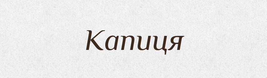 Капиця — Великий тлумачний словник сучасної української мови