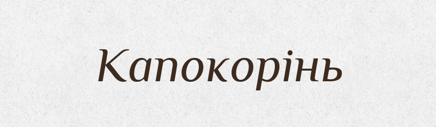 Капокорінь — Великий тлумачний словник сучасної української мови