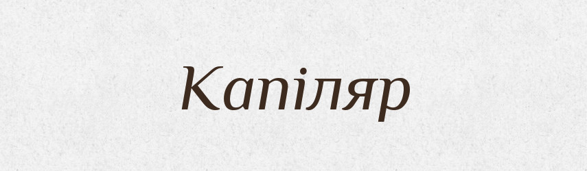 Капіляр — Великий тлумачний словник сучасної української мови