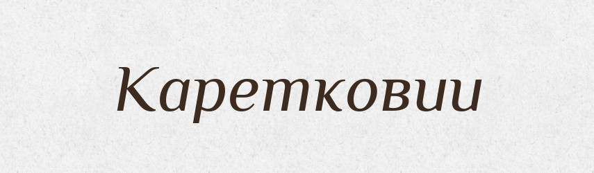 Каретковии — Великий тлумачний словник сучасної української мови