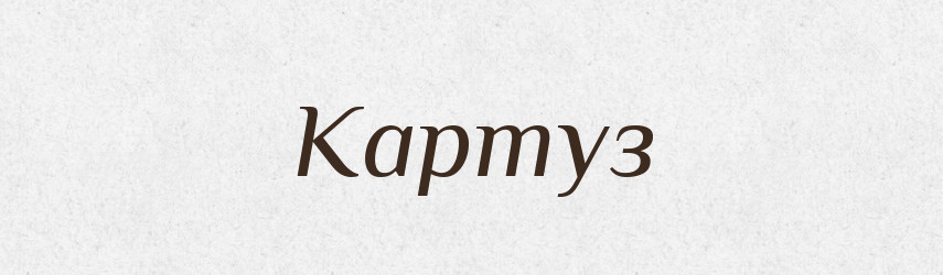 Картуз — Великий тлумачний словник сучасної української мови
