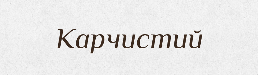 Карчистий — Великий тлумачний словник сучасної української мови