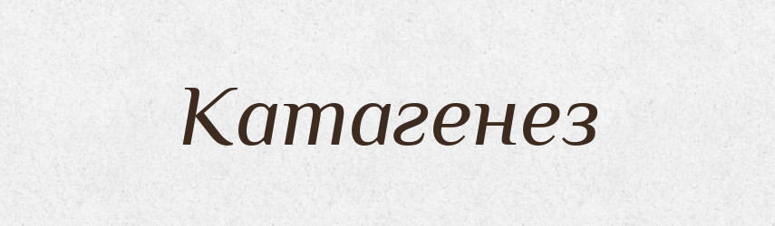 Катагенез — Великий тлумачний словник сучасної української мови