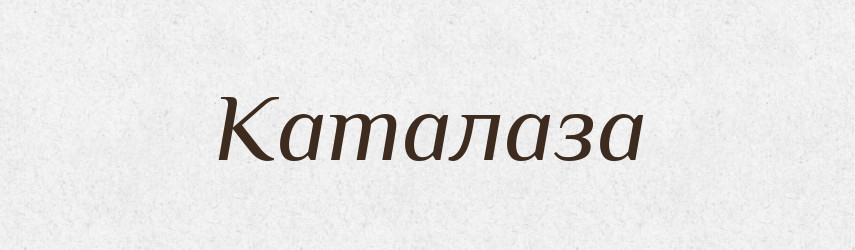 Каталаза — Великий тлумачний словник сучасної української мови