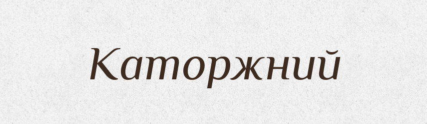 Каторжний — Великий тлумачний словник сучасної української мови