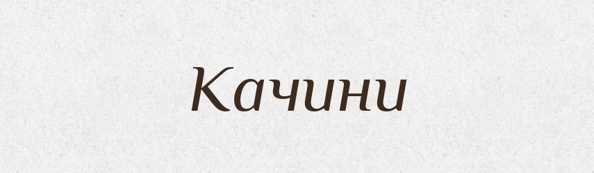 Качини — Великий тлумачний словник сучасної української мови