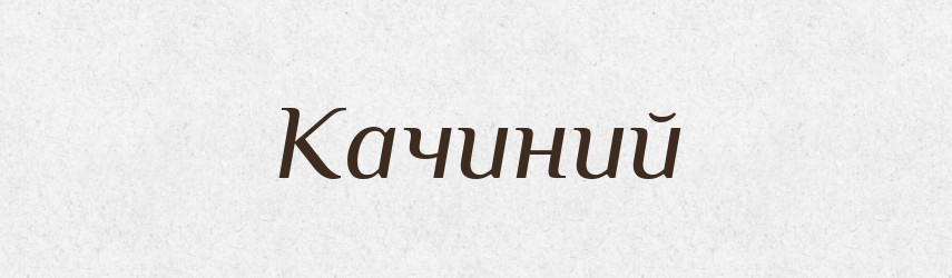 Качиний — Великий тлумачний словник сучасної української мови