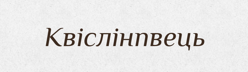 Квіслінпвець — Великий тлумачний словник сучасної української мови