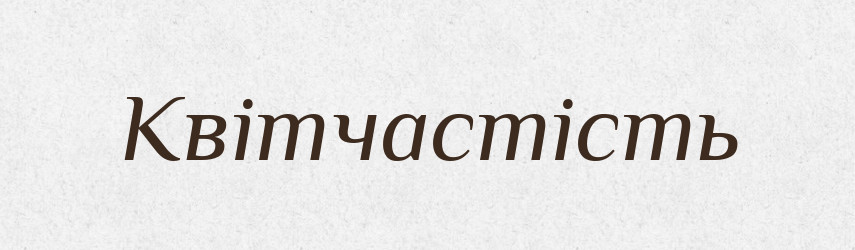 Квітчастість — Великий тлумачний словник сучасної української мови