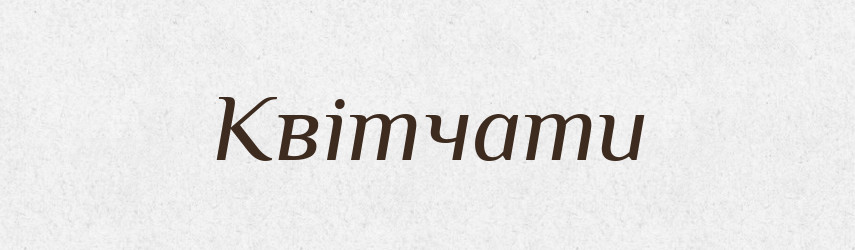 Квітчати — Великий тлумачний словник сучасної української мови