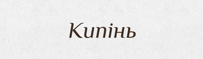 Кипінь — Великий тлумачний словник сучасної української мови