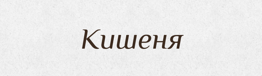 Кишеня — Великий тлумачний словник сучасної української мови