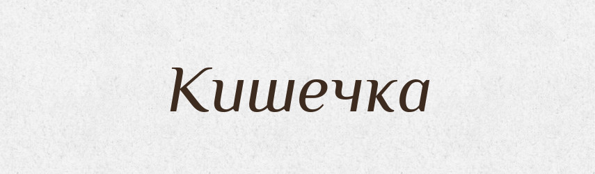 Кишечка — Великий тлумачний словник сучасної української мови