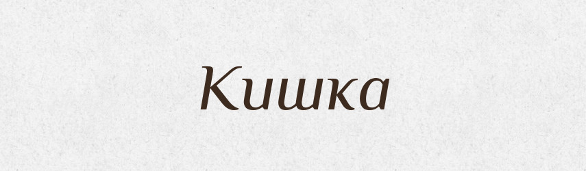 Кишка — Великий тлумачний словник сучасної української мови