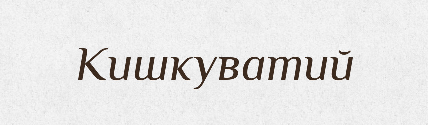 Кишкуватий — Великий тлумачний словник сучасної української мови