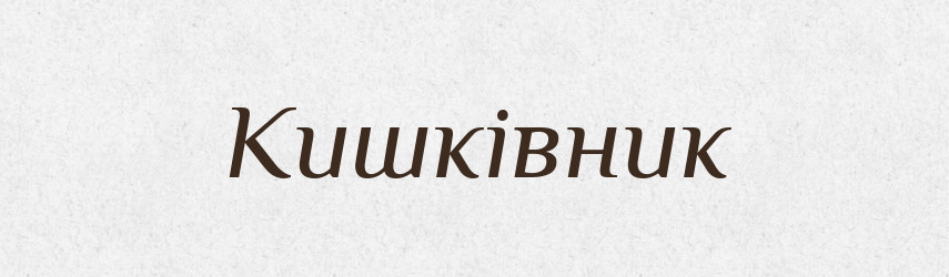 Кишківник — Великий тлумачний словник сучасної української мови