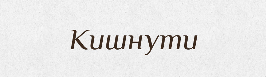 Кишнути — Великий тлумачний словник сучасної української мови