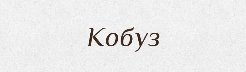 Кобуз — Великий тлумачний словник сучасної української мови