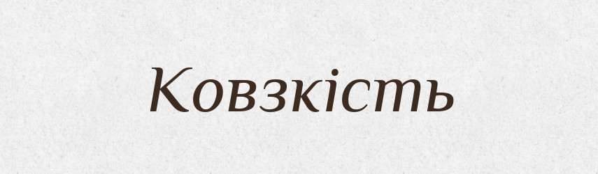 Ковзкість — Великий тлумачний словник сучасної української мови
