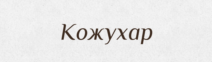 Кожухар — Великий тлумачний словник сучасної української мови