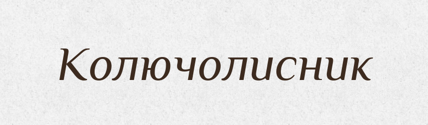 Колючолисник — Великий тлумачний словник сучасної української мови