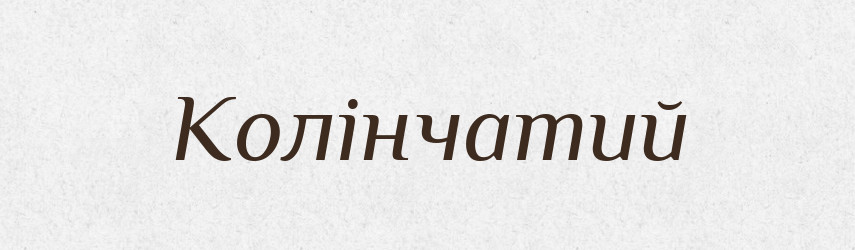 Колінчатий — Великий тлумачний словник сучасної української мови