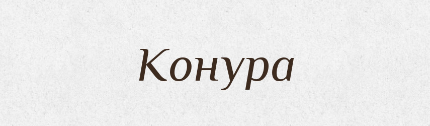 Конура — Великий тлумачний словник сучасної української мови