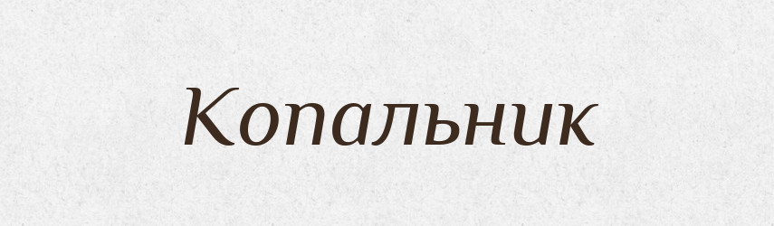 Копальник — Великий тлумачний словник сучасної української мови