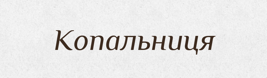 Копальниця — Великий тлумачний словник сучасної української мови