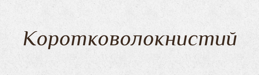 Коротковолокнистий — Великий тлумачний словник сучасної української мови