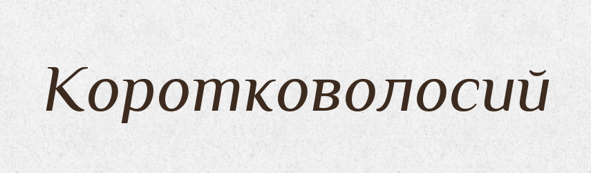 Коротковолосий — Великий тлумачний словник сучасної української мови