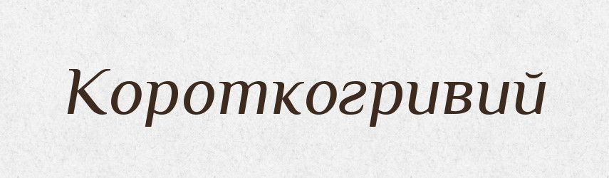 Короткогривий — Великий тлумачний словник сучасної української мови
