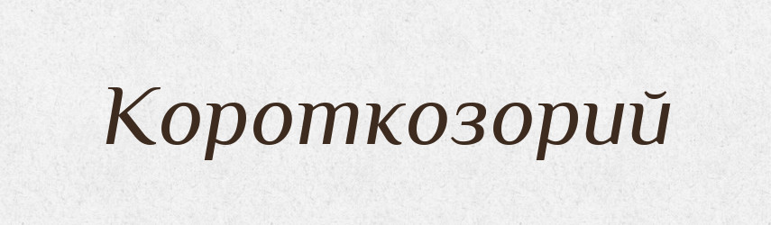 Короткозорий — Великий тлумачний словник сучасної української мови