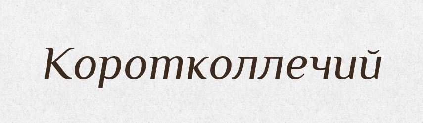 Коротколлечий — Великий тлумачний словник сучасної української мови