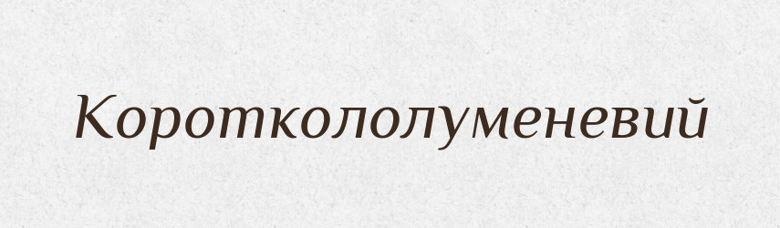 Короткололуменевий — Великий тлумачний словник сучасної української мови