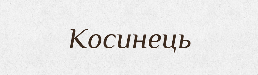 Косинець — Великий тлумачний словник сучасної української мови