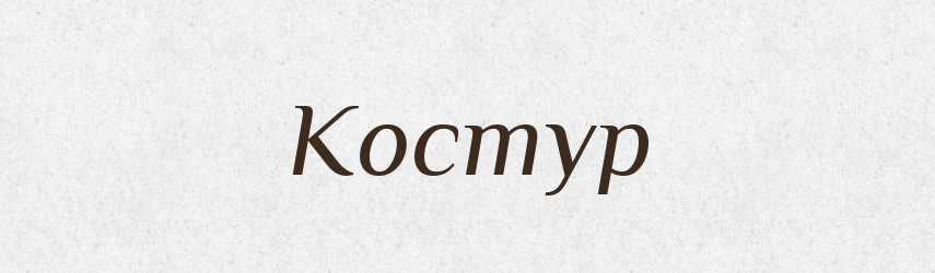 Костур — Великий тлумачний словник сучасної української мови