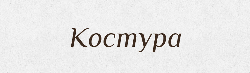 Костура — Великий тлумачний словник сучасної української мови