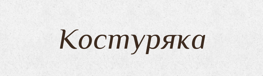 Костуряка — Великий тлумачний словник сучасної української мови