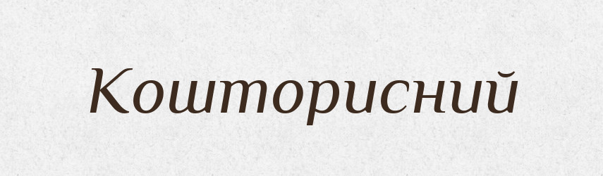 Кошторисний — Великий тлумачний словник сучасної української мови