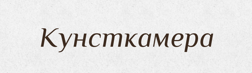 Кунсткамера — Великий тлумачний словник сучасної української мови