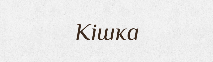 Кішка — Великий тлумачний словник сучасної української мови