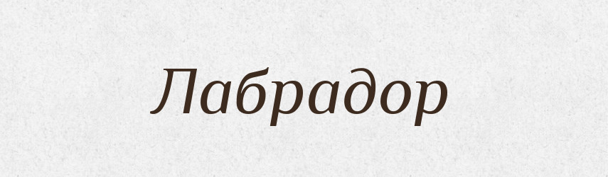 Лабрадор — Великий тлумачний словник сучасної української мови