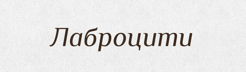 Лаброцити — Великий тлумачний словник сучасної української мови
