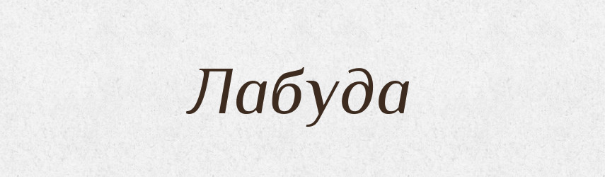 Лабуда — Великий тлумачний словник сучасної української мови