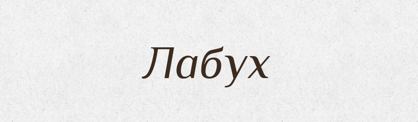 Лабух — Великий тлумачний словник сучасної української мови